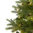 thumbnail image 7 of Nearly Natural 4ft. North Carolina Spruce Artificial Christmas Tree with 100 Clear Lights and 207 Bendable Branches, 7 of 7