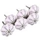 thumbnail image 1 of 6 Pack de pomos de cerámica pintados a mano con patrón de ramas rosas, 1 of 7