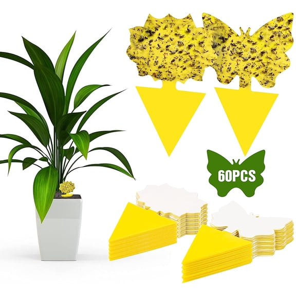 60 Pack Plant Sticky Traps – Fungus Gnat Traps Killer for Indoor & Outdoor, Fruit Fly Sticky Strips Protect Houseplants – Non-Toxic & Odorless, Waterproof
