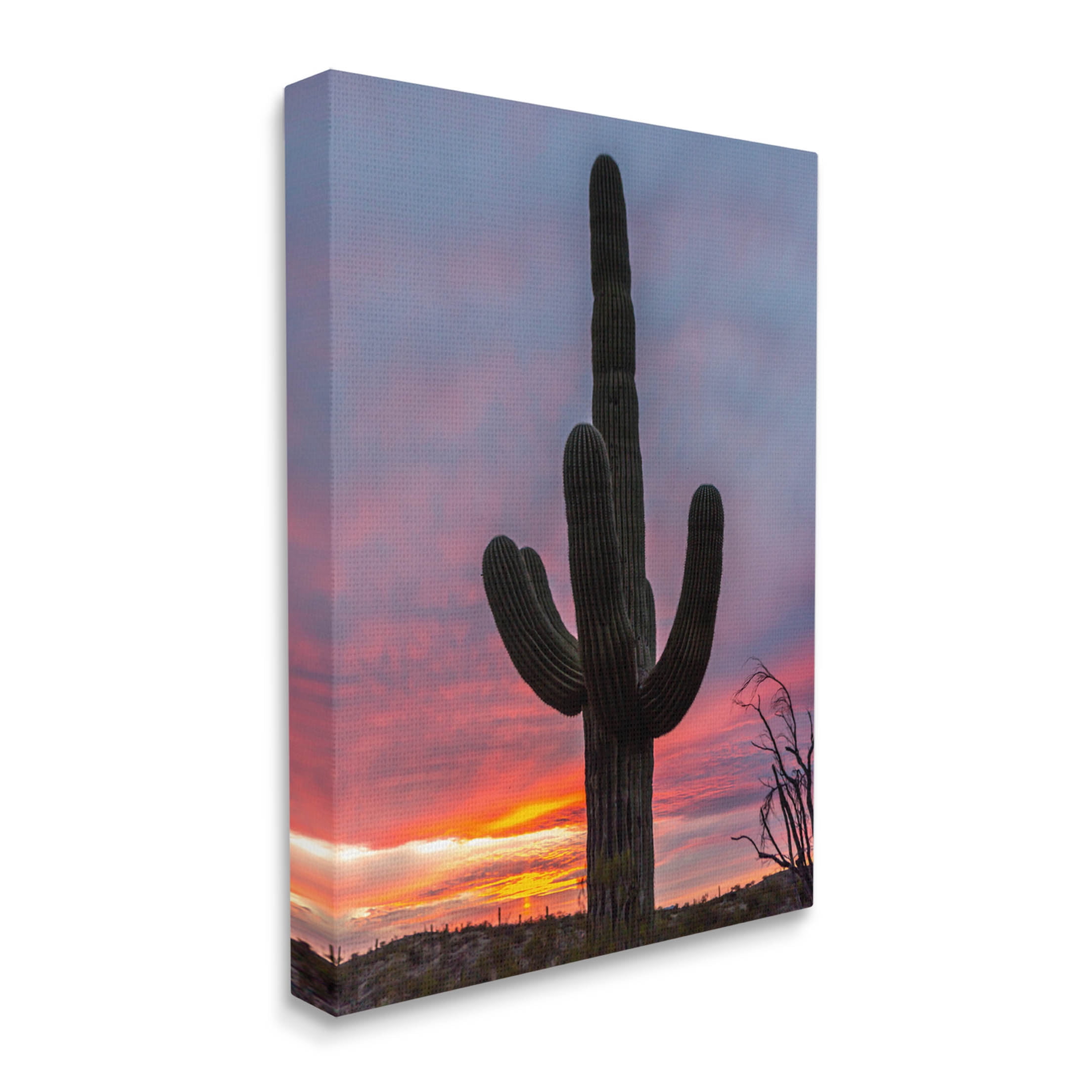 Looming Desert Cactus Silhouette Landscape Photograph Gallery Wrapped Canvas Print Wall Art