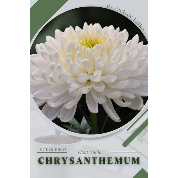 Chrysanthemum: Plant Guide, (Paperback)