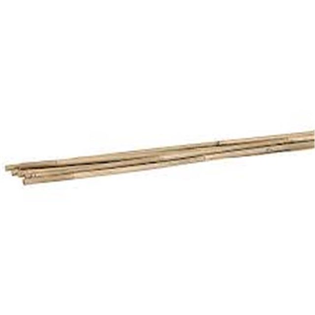 Midwest Air Technologies Cobra BB6 Bâton de Bambou de 6 Pi