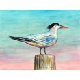 thumbnail image 1 of Betsy Drake DM951G Tapis de Porte Royal Tern 30 x 50, 1 of 1