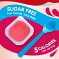 thumbnail image 2 of Snack Pack Sugar Free Cherry Flavored Juicy Gels 4 Count Snack Cups (Pack of 6), 2 of 5