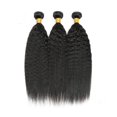 thumbnail image 3 of Hair Bundles WuvusNM Kinky Straight Brazilian Remy 8A 40-50 cm, 3 of 3