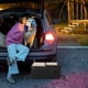thumbnail image 3 of GOOHOCHY Organizador de maletero de coche plegable, 3 of 8