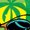 GREEN, variant on Disney - Beach Mickey Short Sleeve Graphic T-Shirt