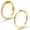 Gold-2Style, variant on 2PCS Titanium Nose Rings 16G CZ Hoop Nose Ear Clicker for Women 6mm to 10mm Hinged Segment Septum Lip Rings Tragus Conch Helix Cartilage Rook Daith Piercing Jewelry Silver- Gold