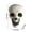 A, variant on Halloween Savings Halloween Plastic Skull Decor Statue 2 Styles LED Glowing Red Eyes No Light Skeleton Head Figurine Spooky Tabletop Ornament for Home Gothic Decor Halloween Decor Indoor Outdoor