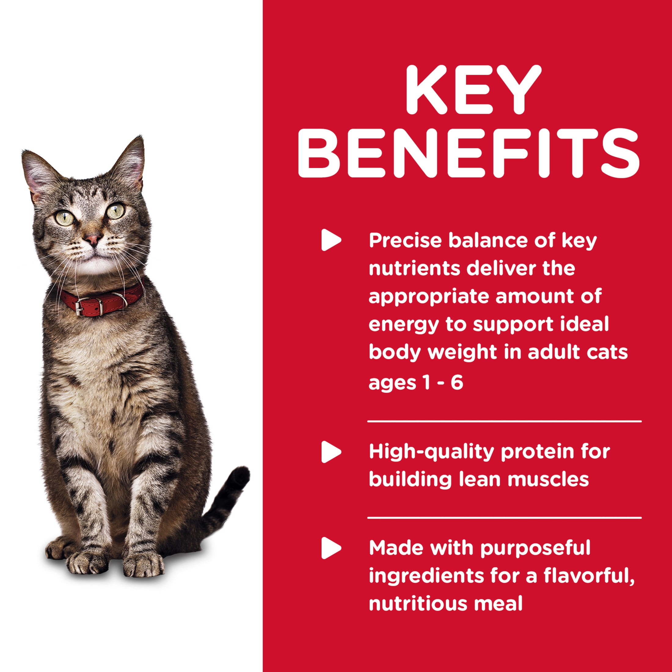 Hill's Science Diet Turkey & Liver Wet Cat Food, 5.5oz Can 24pk