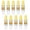 Cool White, variant on GRV 10PCS G4-1505 3W LED Light Bulbs Equivalent to 20W Halogen Bulb,Super Bright AC12V/DC12V 6000K Cool White Bulbs Replacement for RV Indoor Lights and Outdoor Landscape Lighting