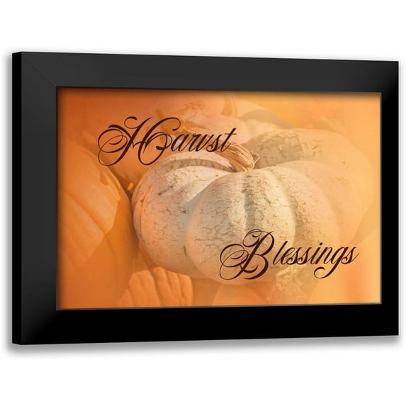 Murdock, Ramona 14x11 Black Modern Framed Museum Art Print Titled - Harvest Blessings II