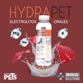 thumbnail image 3 of Suero Hidratante para Perro sabor a Carne  450ml, 3 of 3