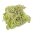 thumbnail image 1 of Unique Bargains Mousse Préservée 3.5 OZ Mousse Artificielle pour Projet Floral Décoration de Table Jaune Vert, 1 of 7