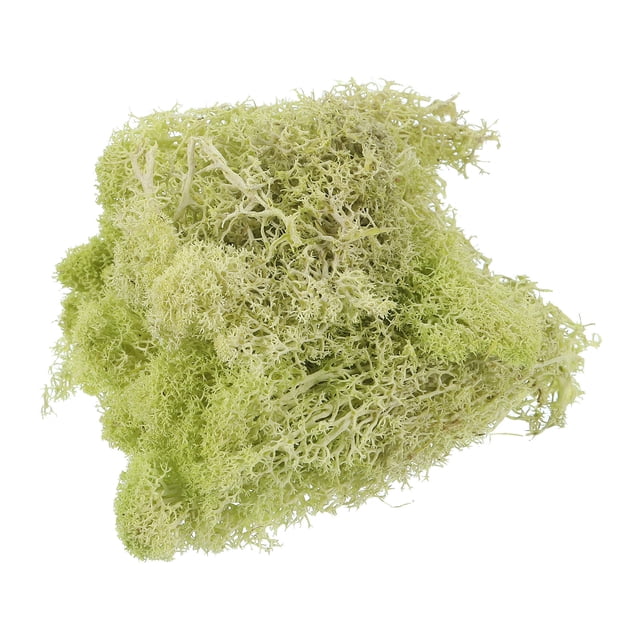 Unique Bargains 3.5 OZ Moss Preserved Moss Artificial Moss for Craft Floral Project Table Decor Yellow Green