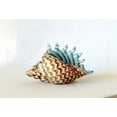 thumbnail image 1 of Brown And Blue Seashell Glass Art Glass, 1 of 1