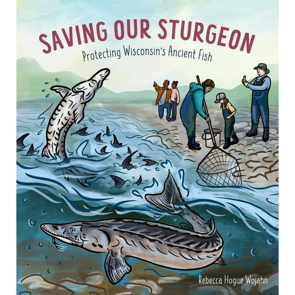 Saving Our Sturgeon: Protecting Wisconsin's Ancient Fish, (Paperback)