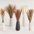 thumbnail image 2 of Decoración de hierba de pampa seca ZHAOCHENG 120 piezas arreglos florales secos para decoración de bodas fiestas y hogar estilo bohemio, 2 of 5