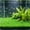 🎁 Multicolor_New#806, variant on Aquarium Grass Mat Substrate for Aquatic Plants – Artificial Dense Green Grass Decor, Soft Plastic Fish Tank Flooring for Safe, Realistic Underwater Landscaping