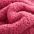 thumbnail image 5 of NC Sherpa Blanket Multi-color Polyester Reversible Bed Blankets Twin (Count 2), 5 of 7