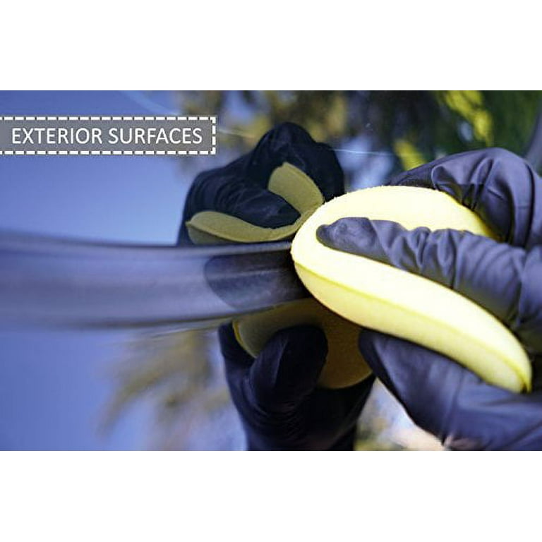 CAR GUYS Plastic Restorer Bring Plastic Rubber and Vinyl Back to Life! Safe  Auto Detailing Kit 