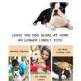 thumbnail image 2 of Curved Spherical Squeaky Dog Chew Toy - Green with Paw Prints Design, Durable for Aggressive Chewers, Interactive Play for Small Medium Dogs - Indoor Outdoor Use, 2 of 4