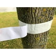 thumbnail image 3 of APT Insect Barrier Tree Tape, Sticky Bands for Trees, Weatherproof, 2" x 30 yards, 1 Roll/Pack, 3 of 5