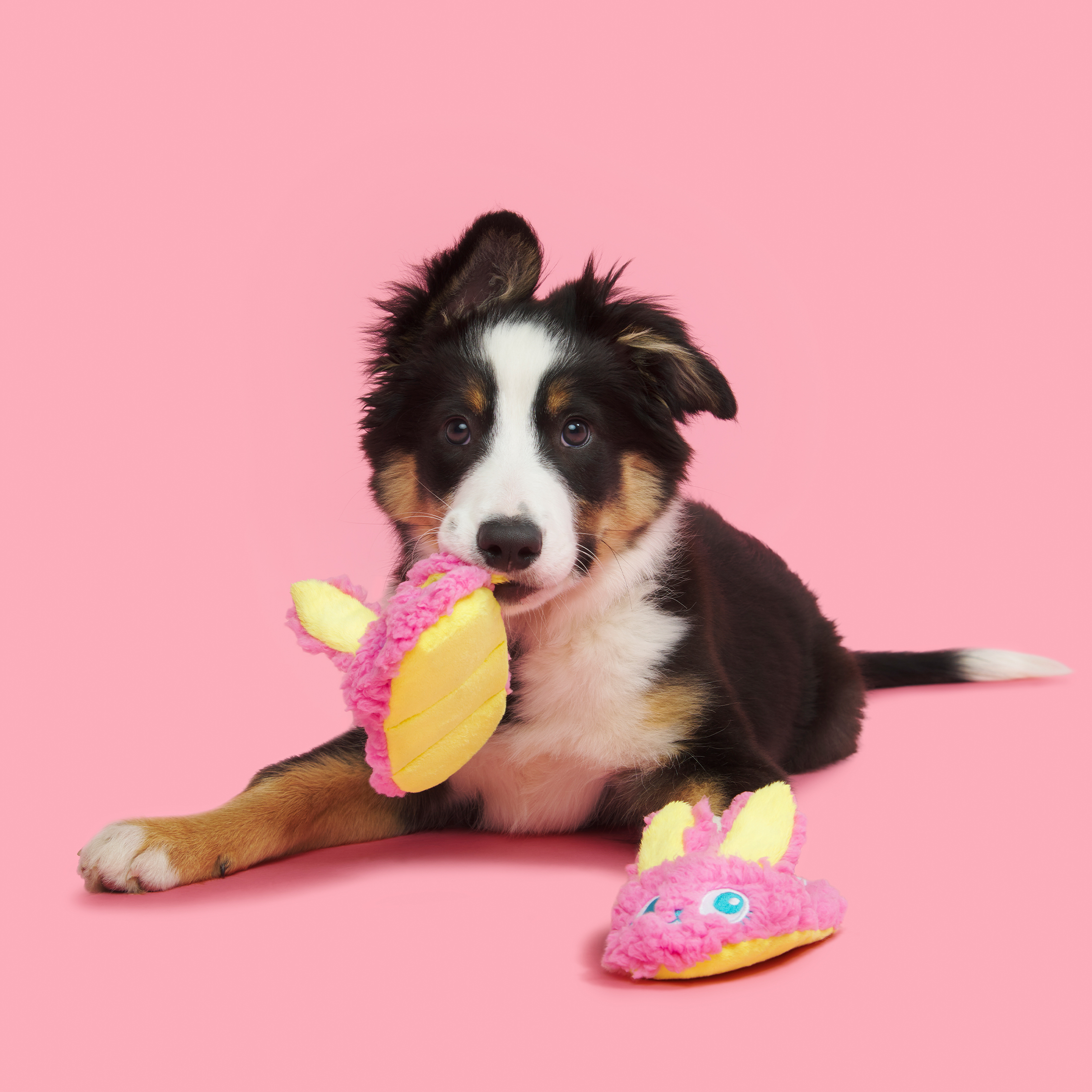 BARK Flopsy and Bobpsy Slippies Dynamic Duo Dog Toys, Barkfest in Bed, For Extra Small to Small Dogs