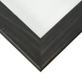 thumbnail image 5 of Craig Frames Jasper, 17x23 inch Picture Frame, Country Charcoal Black, Set of 4, 5 of 5
