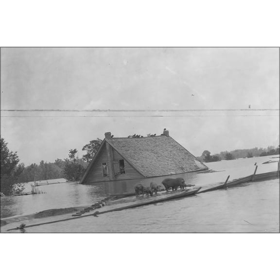 24"x36" Gallery Poster, Aerial photograph of flood, unidentified stretch of lower Mississippi River. NARA 285964