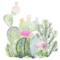 thumbnail image 1 of Cuadros Decorativos Cactus 5D DIY Diamond Painting Kits Full Square Drill Decoración de pared Rhinestone Art Likrtyny embutido en tela, 1 of 1