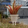 thumbnail image 4 of Maceta Colgante Para Plantas Con Cara Oscilante, Decorativa, Para Ahorrar Espacio, De Resina, Multiusos Para Interiores, 4 of 7