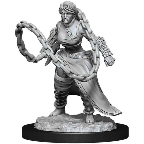 DD Character - Human Monk Female