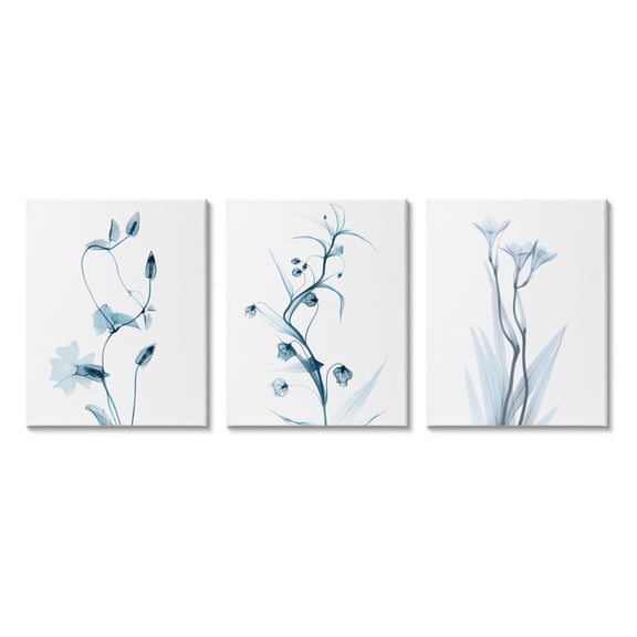Stupell Industries Aesthetic Minimalist Blue Botanical Floral Design Photography Gallery-Wrapped Canvas Print Wall Art Set of 3, 24x30, by Albert Koetsier