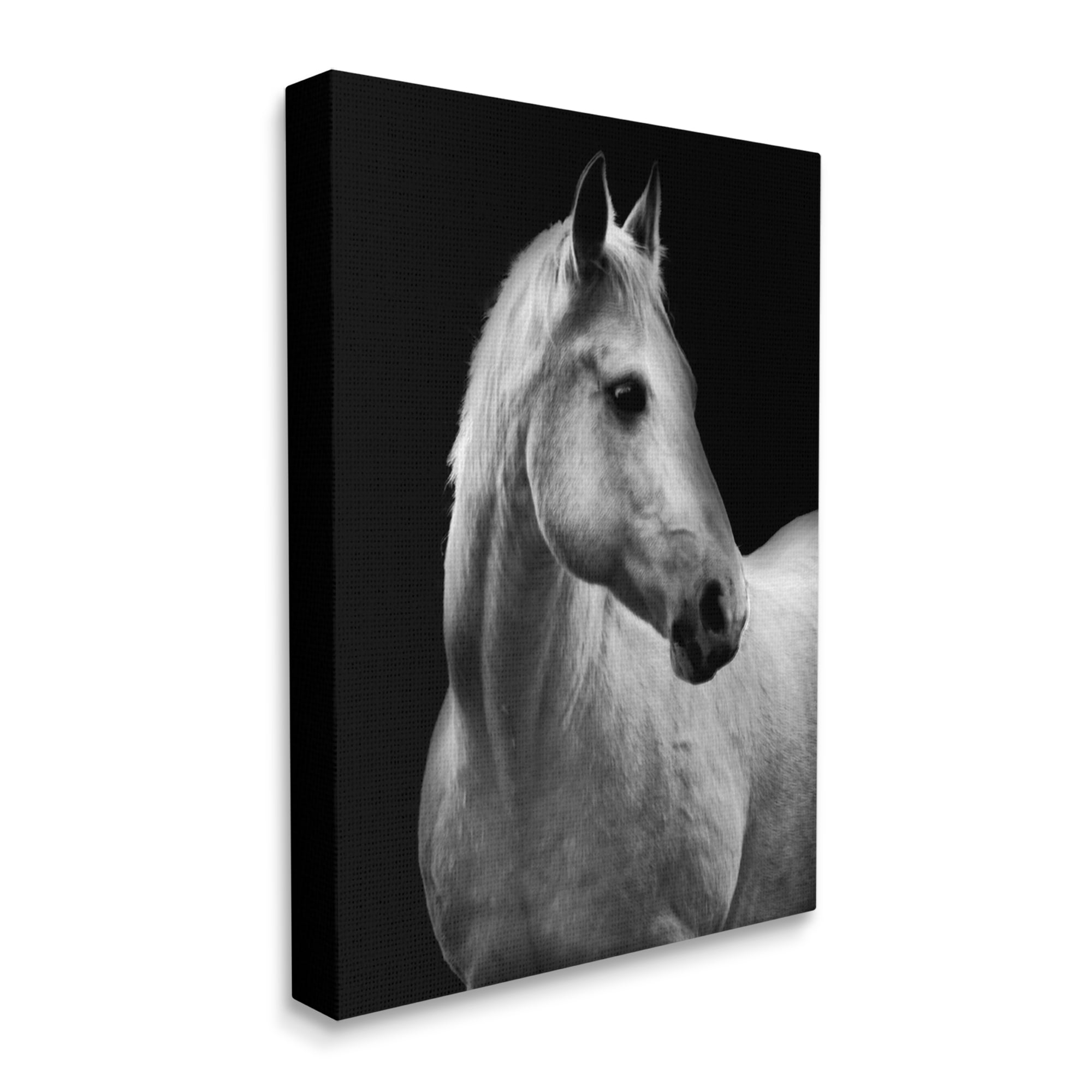 Stupell Industries Horse on Black Portrait Animals & Insects Photography Gallery Wrapped Canvas Art Print Wall Art, 36 x 48