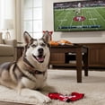 thumbnail image 3 of Collar NFL para perro raza grande San Francisco 49s 100% oficial, 3 of 6