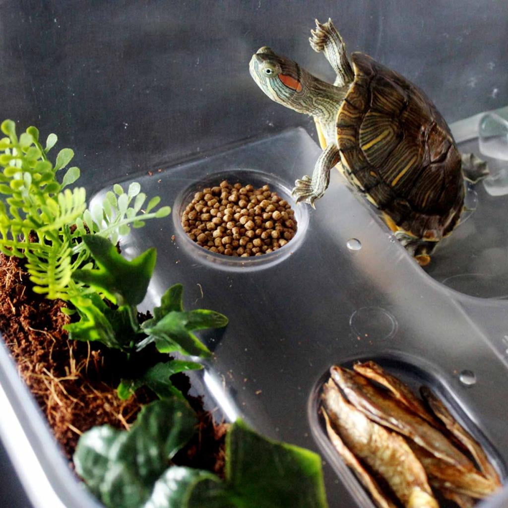 Deluxe Aquatic , Aquarium Box for Turtle Reptile Habitat Tank with Basking Ramp Platform Plants White