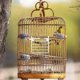 thumbnail image 2 of Birdcage Accessories Pet Bird Cage Door Replacement Plug-in Spring Door Food Box Plastic Wire Door for Small Pet Cage Supplies, 2 of 4
