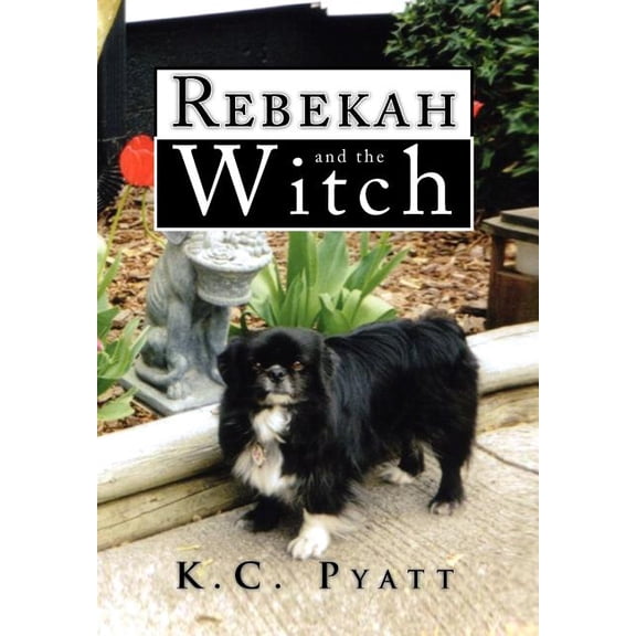 Rebekah and the Witch, (Hardcover)