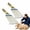 10.63 in, variant on Furizzy Grooming Rake Horse Brush Back Scratcher Livestockļ¼Big | Removes Loose Hair & Dirt with Grooming Rake, Works As Back Scratcher for Livestock