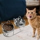 thumbnail image 1 of Comederos elevados para gatos, ergonómicos e inclinados, con soporte estable y 2 tazones, de acero inoxidable, para viajes, cachorros y gatitos., 1 of 8