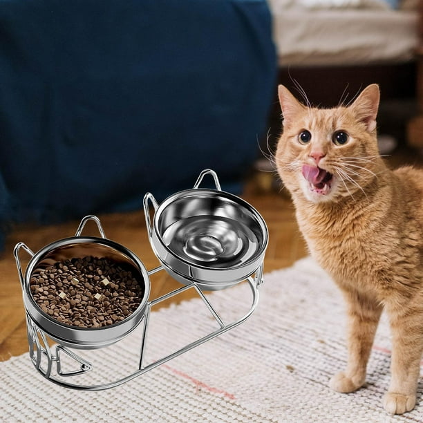 Comederos elevados para gatos, ergonómicos e inclinados, con soporte estable y 2 tazones, de acero inoxidable, para viajes, cachorros y gatitos.