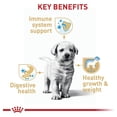 thumbnail image 2 of Alimento Seco para Cachorro Raza Golden Retriver 13.6 Kg Royal Canin Alimento Croquetas para Perro, 2 of 2