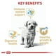 thumbnail image 2 of Alimento Seco para Cachorro Raza Golden Retriver 13.6 Kg Royal Canin Alimento Croquetas para Perro, 2 of 2