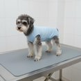 thumbnail image 3 of predolo Traje Antiacoso para Perro Macho Transpirable y Elástico Pantalón Fisiológico para Perro Secado Rápido Traje de Recuperación de Cirugía, 3 of 10