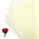 thumbnail image 1 of Papel de regalo para flores Uxcell, papel de ramo impermeable de color sólido beige, 20 hojas, 1 of 7