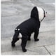 thumbnail image 2 of Zhuge Conjunto de impermeable y botas de lluvia para perros, conjunto de impermeable y botas de lluvia para perros pequeños y medianos, negro, M, 2 of 4