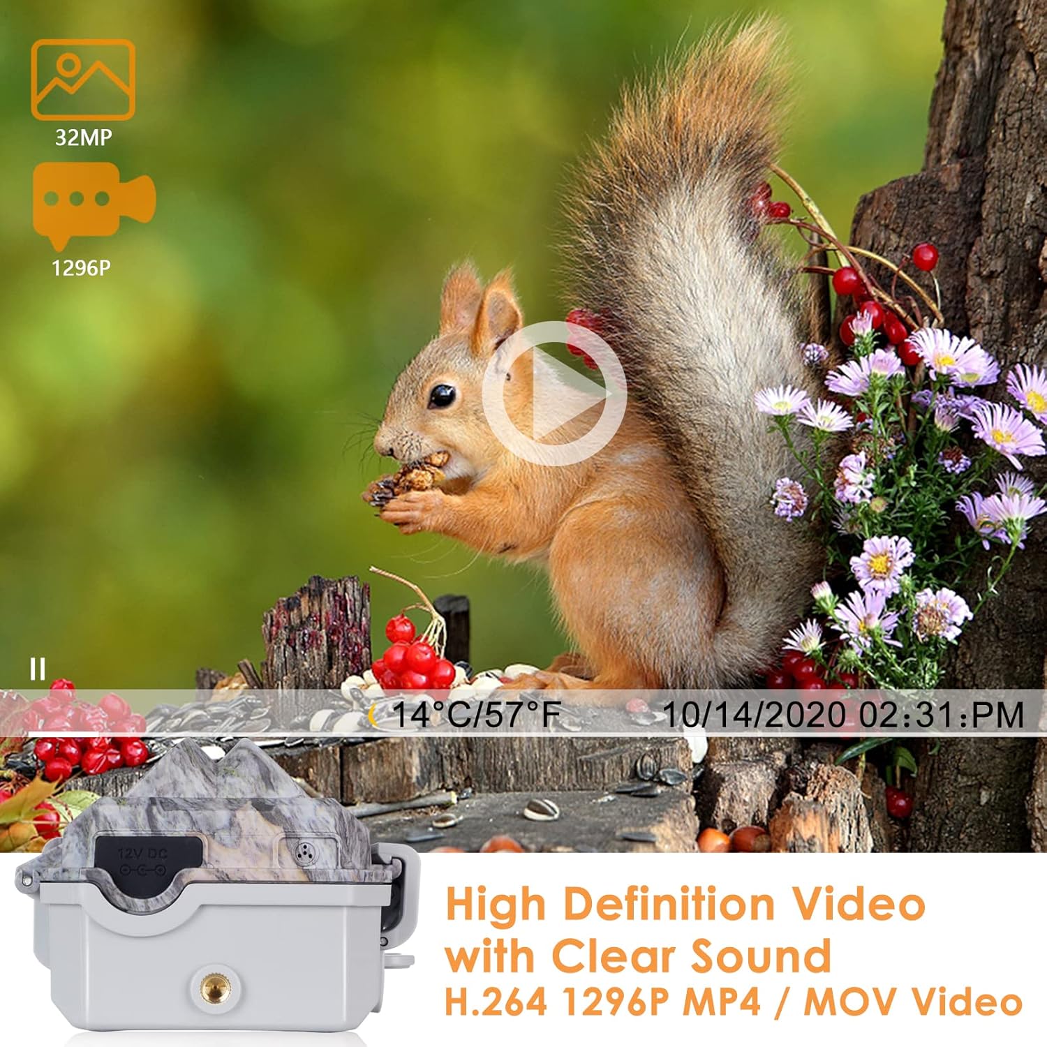 BLAZEVIDEO WiFi Game & Trail Camera 64MP 1296P, Night Vision 0.1s Trigger Time Waterproof IP66 Motion Activated, App Controll Send Picture to Cell Phone for Hunting Wildlife, Home Surveillance