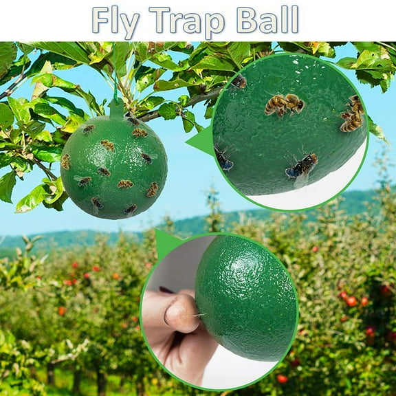 4X Green Fruit Fly Traps, Pheromone Lure Sphere For Gnat Control With Hanging Loop, For Home Garden Patio Orchard - 4 Pack