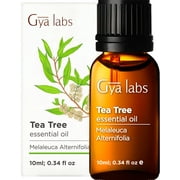 Gya Labs Tea Tree Essential Oil for Skin Care - Cleansing Tea Tree Oil for Hair and Nails - 100% Pure Therapeutic Grade for Aromatherapy - 10ml